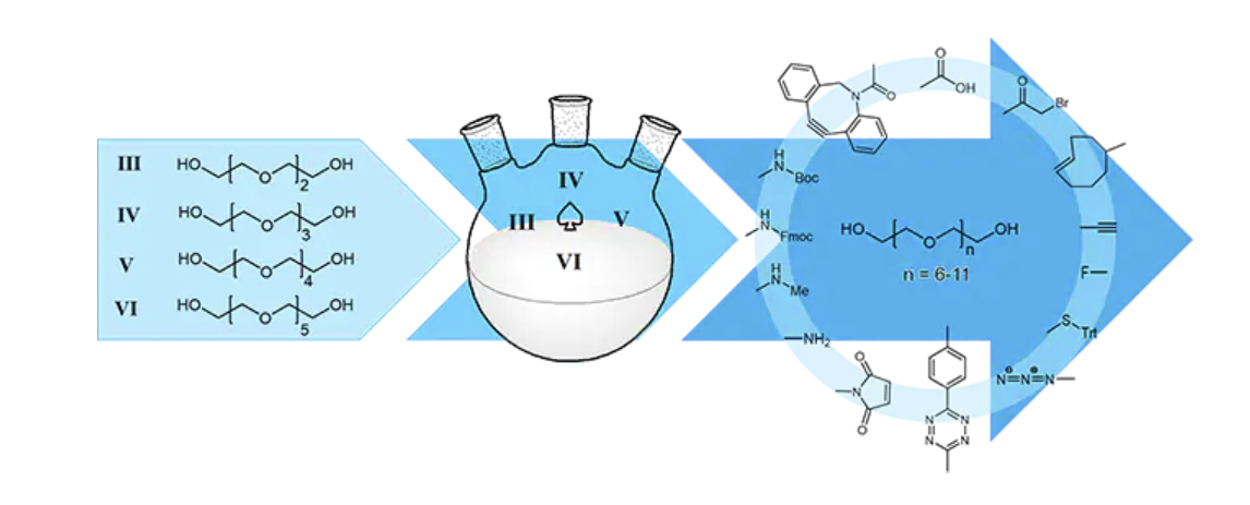 PEG-Synthese mit verschiedenen Längen und funktionellen Endgruppen